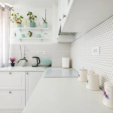 Two Bedroom With A Balcony Relja Apartament